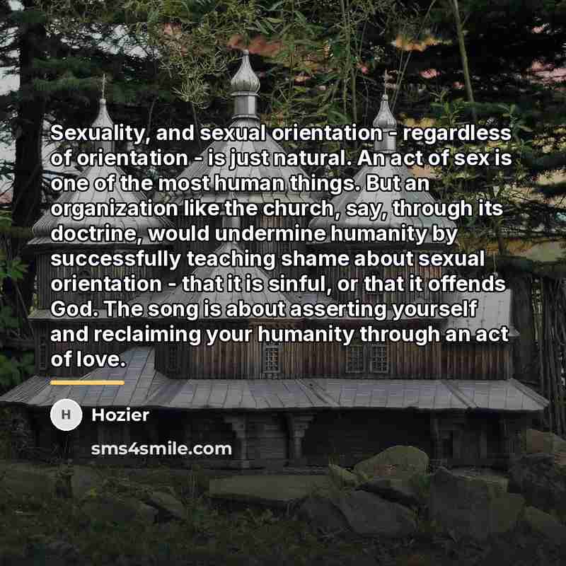 “Sexuality, and sexual orientation - regardless of orientation - is…” quote by Hozier