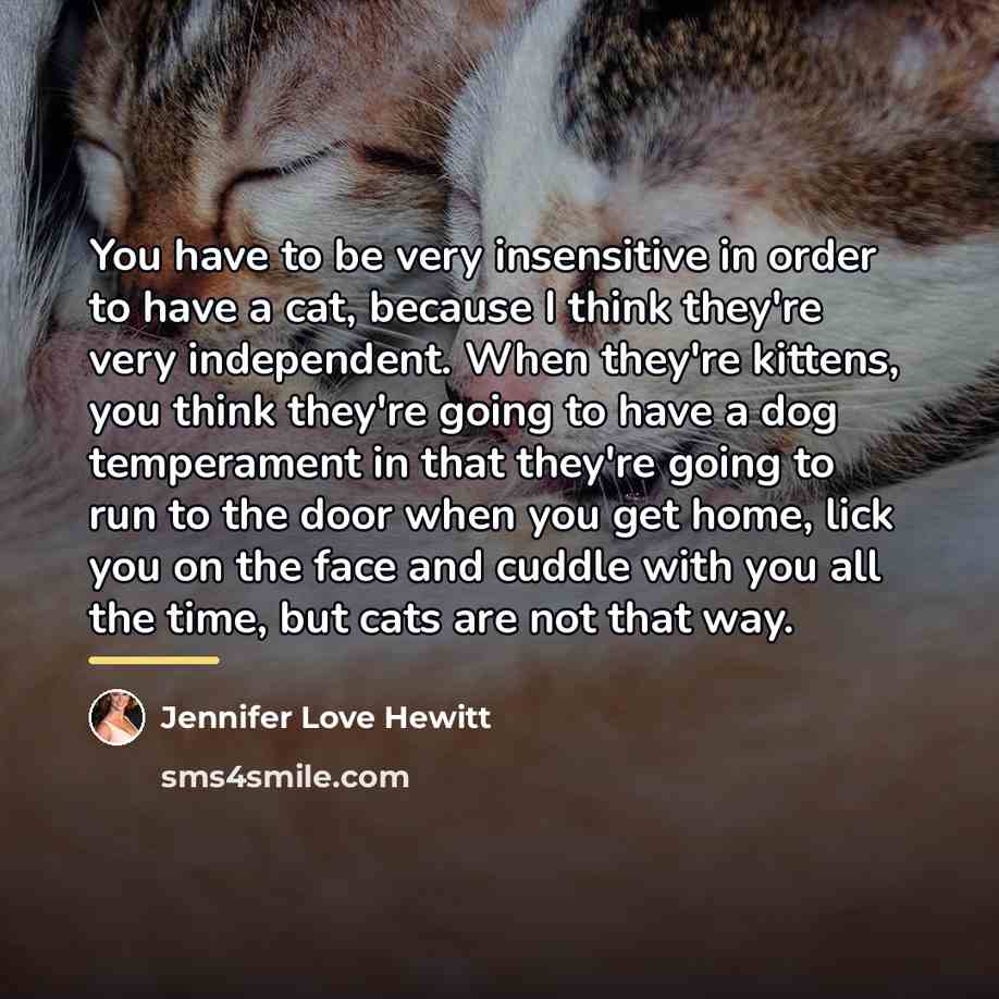 “You have to be very insensitive in order to have…” quote by Jennifer Love Hewitt