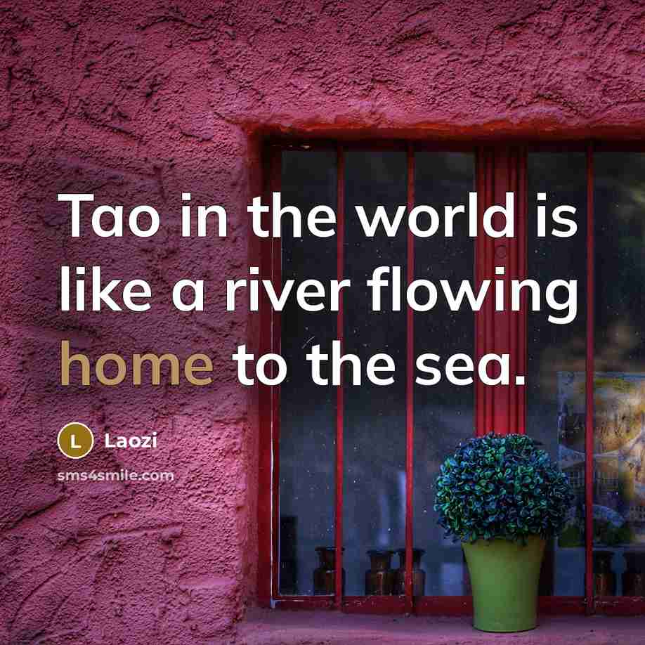 “Tao in the world is like a river flowing home…” quote by Laozi