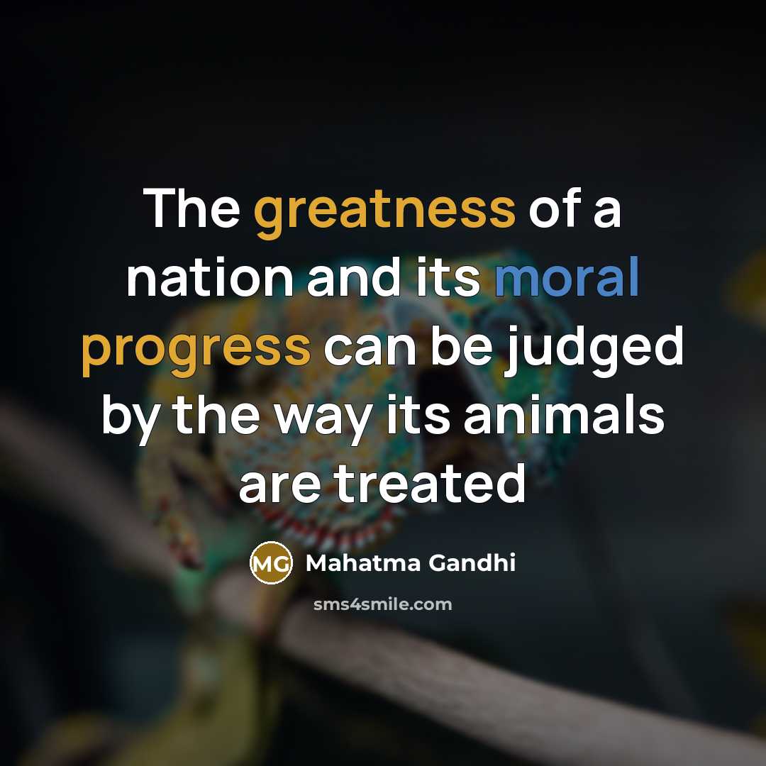 “The greatness of a nation and its moral progress can be judged by the way its animals are treated” quote by Mahatma Gandhi