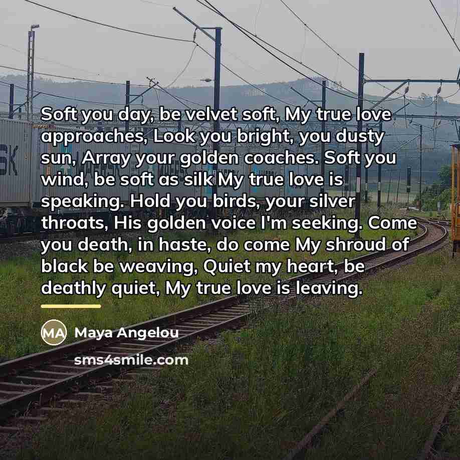 “Soft you day, be velvet soft, My true love approaches,…” quote by Maya Angelou