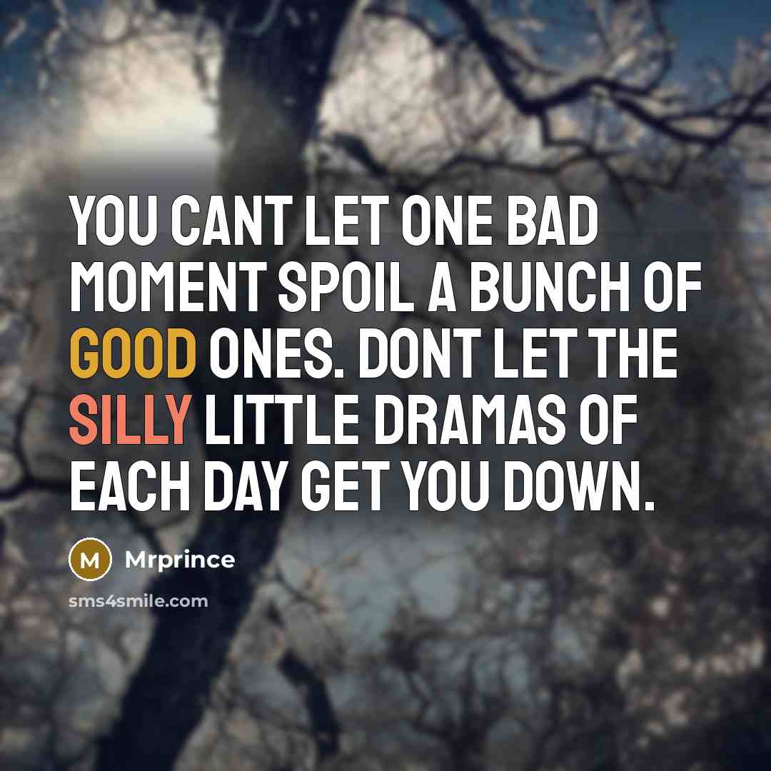 “You cant let one bad moment spoil a bunch of good ones. Dont let the silly little dramas of each day get you down.” quote by Mrprince
