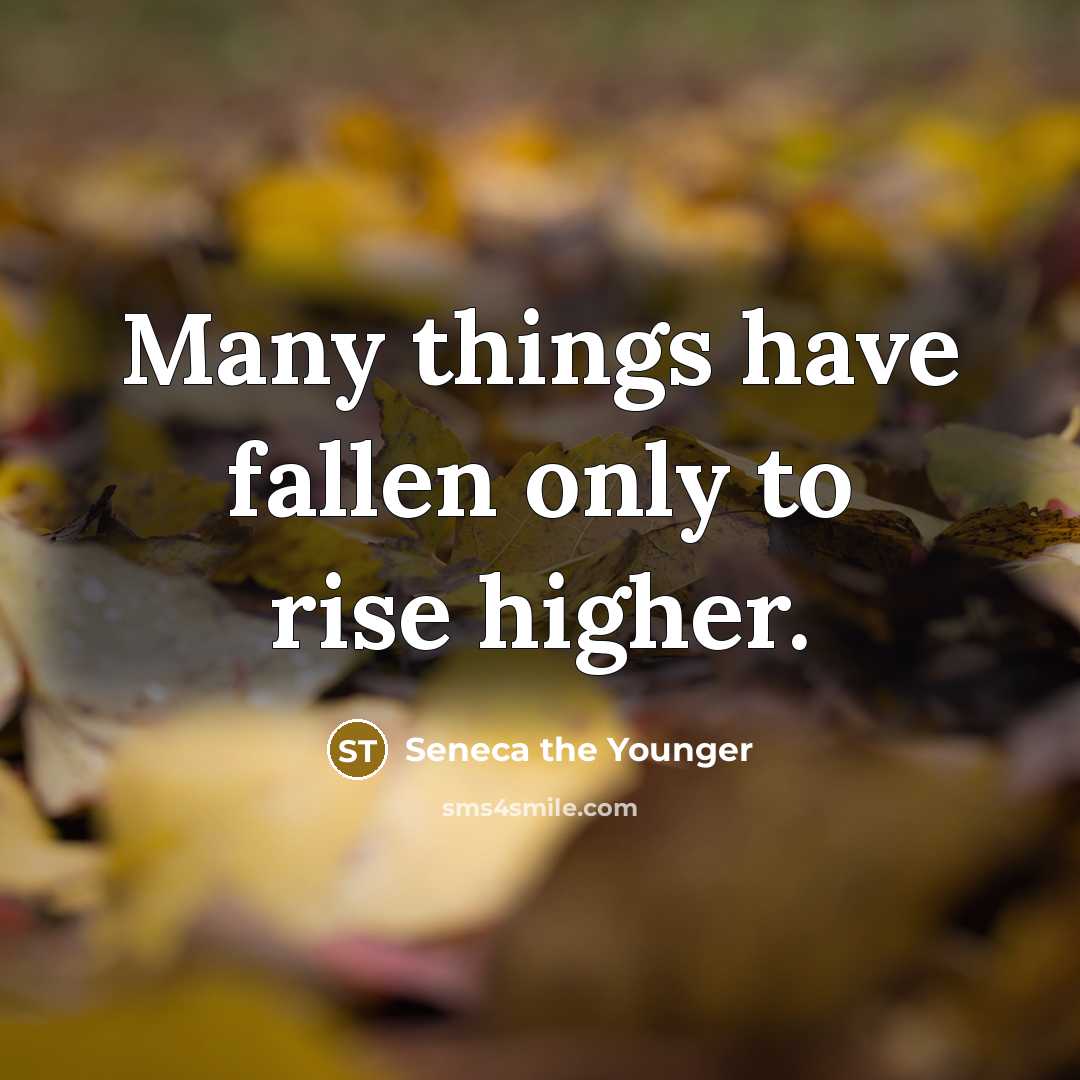 “Many things have fallen only to rise higher.…” quote by Seneca the Younger