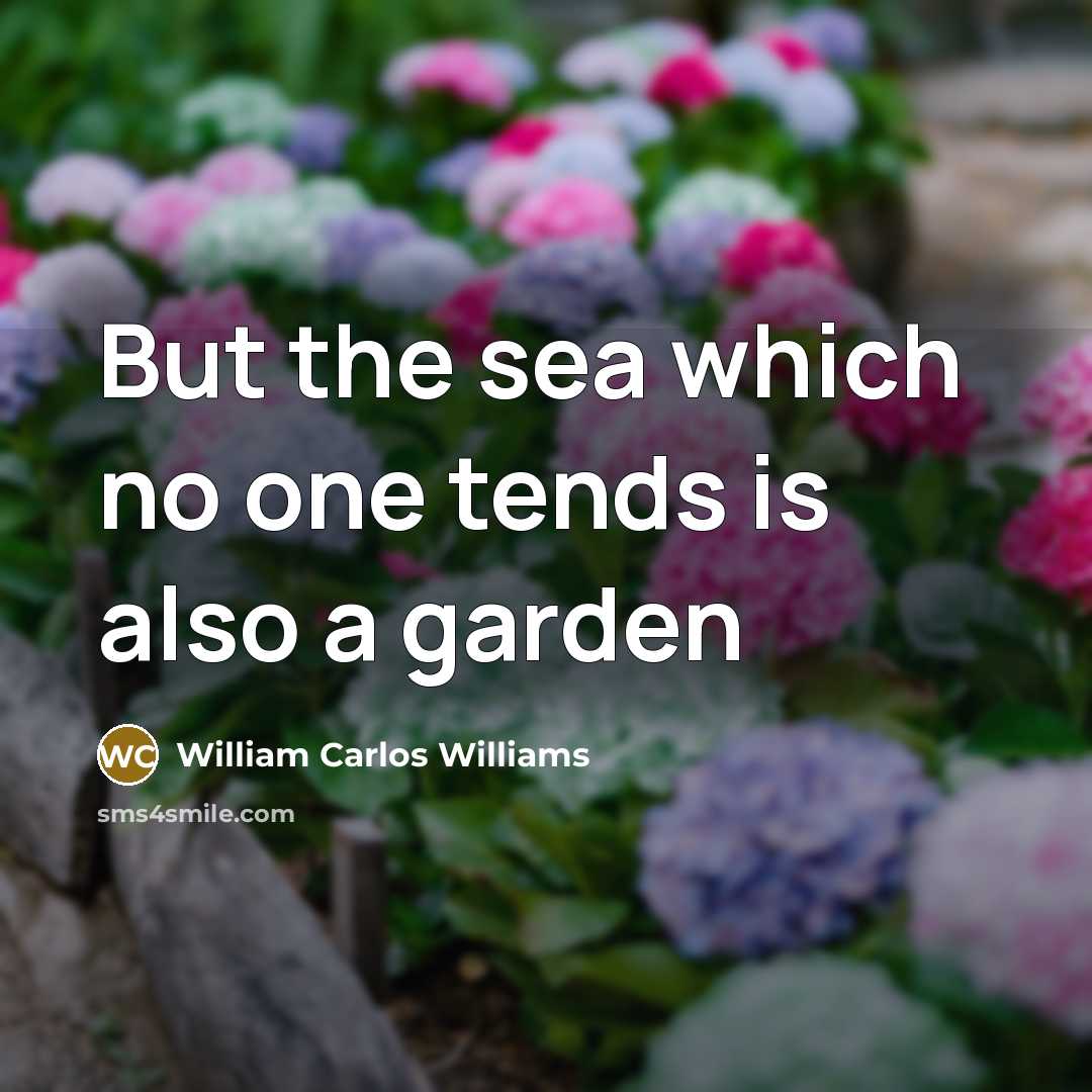 “But the sea which no one tends is also a garden” quote by William Carlos Williams