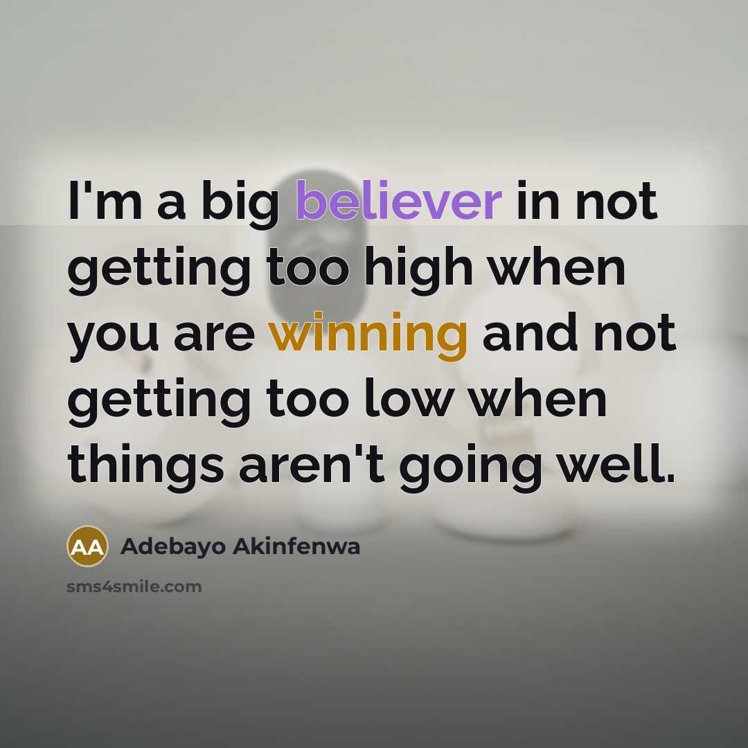 “I'm a big believer in not getting too high when…” quote by Adebayo Akinfenwa