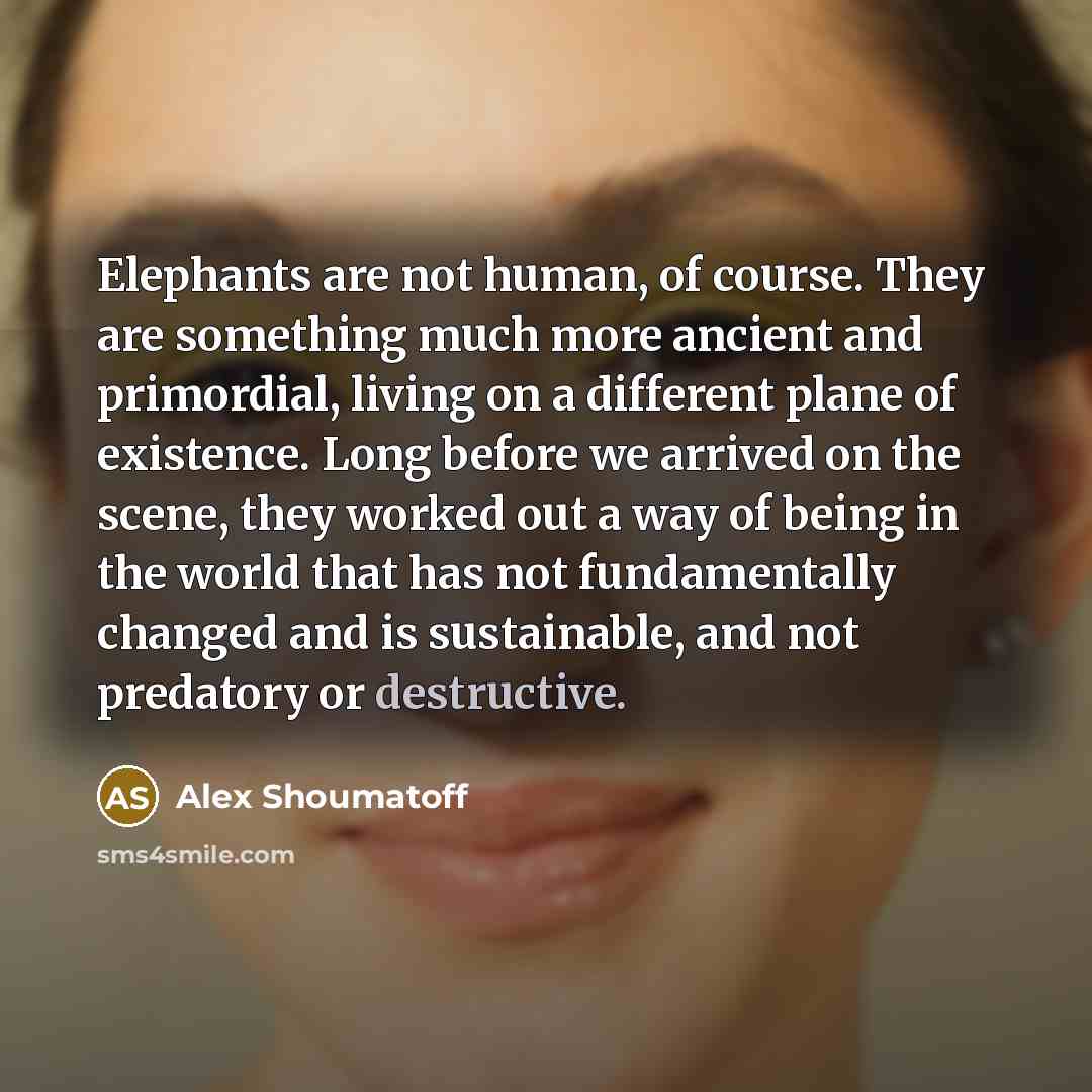 “Elephants are not human, of course. They are something much…” quote by Alex Shoumatoff