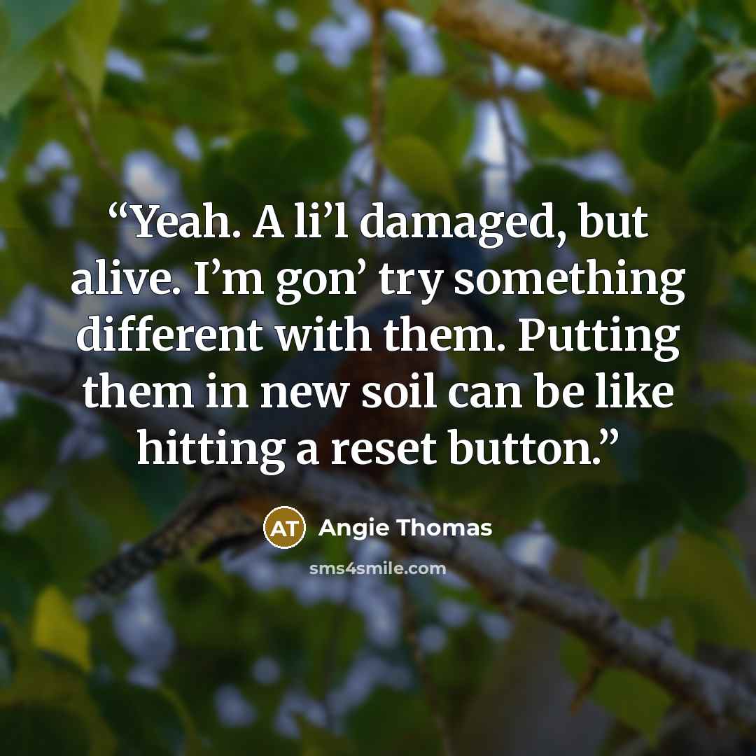 “Yeah. A li’l damaged, but alive. I’m gon’ try something different with them. Putting them in new soil can be like hitting a reset button.” quote by Angie Thomas