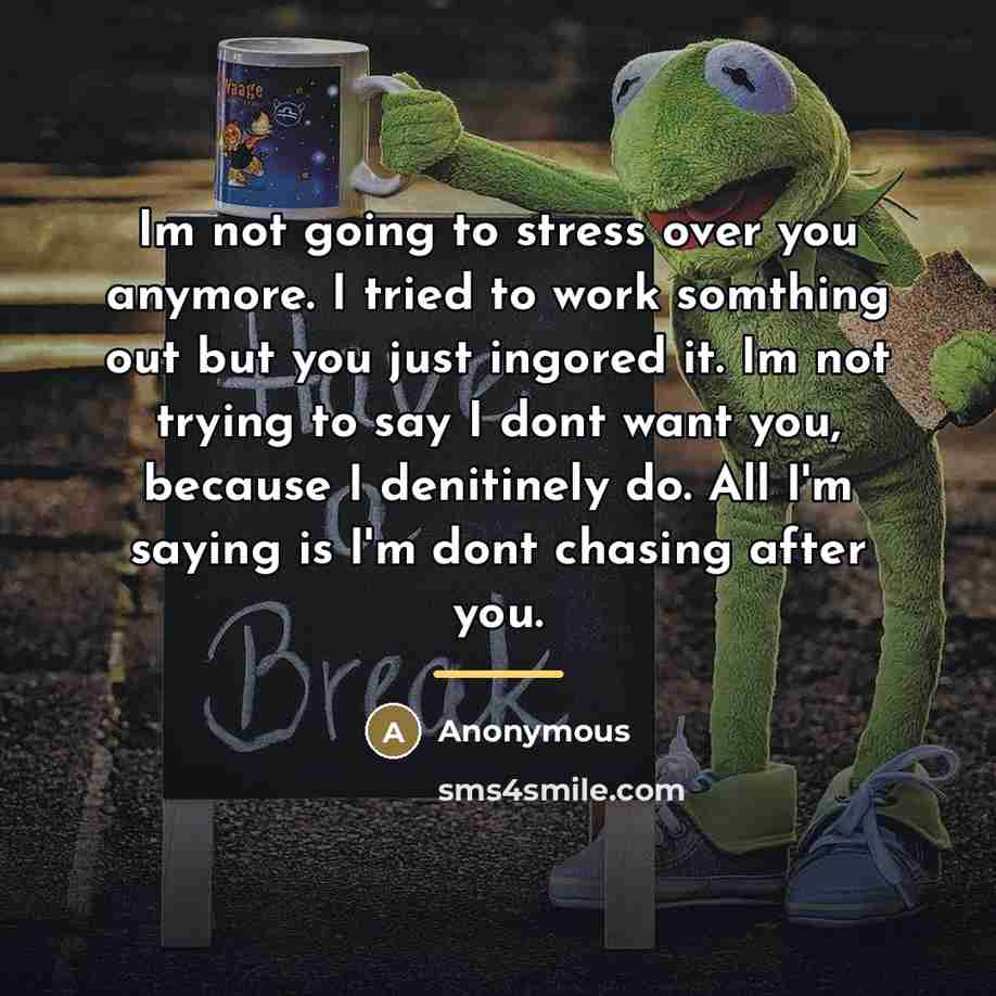 “Im not going to stress over you anymore. I tried…” quote by Anonymous
