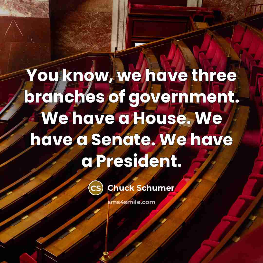 “You know, we have three branches of government. We have…” quote by Chuck Schumer