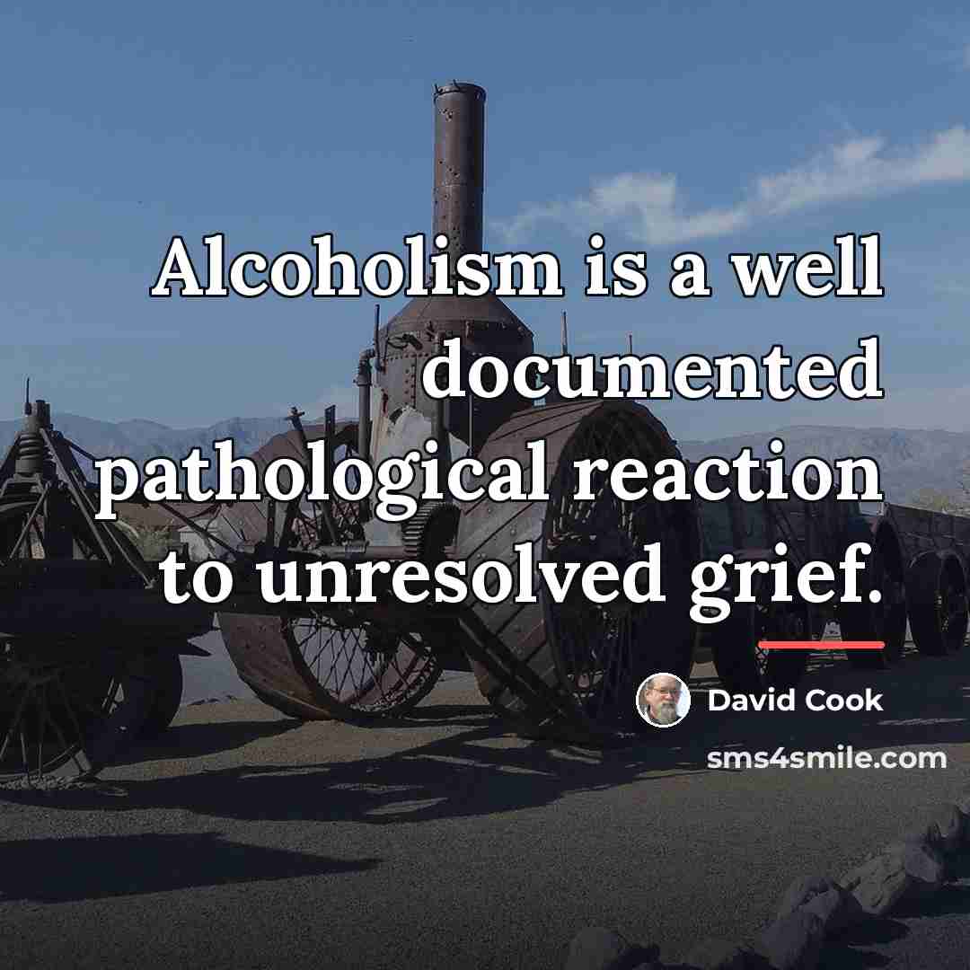 “Alcoholism is a well documented pathological reaction to unresolved grief.…” quote by David Cook