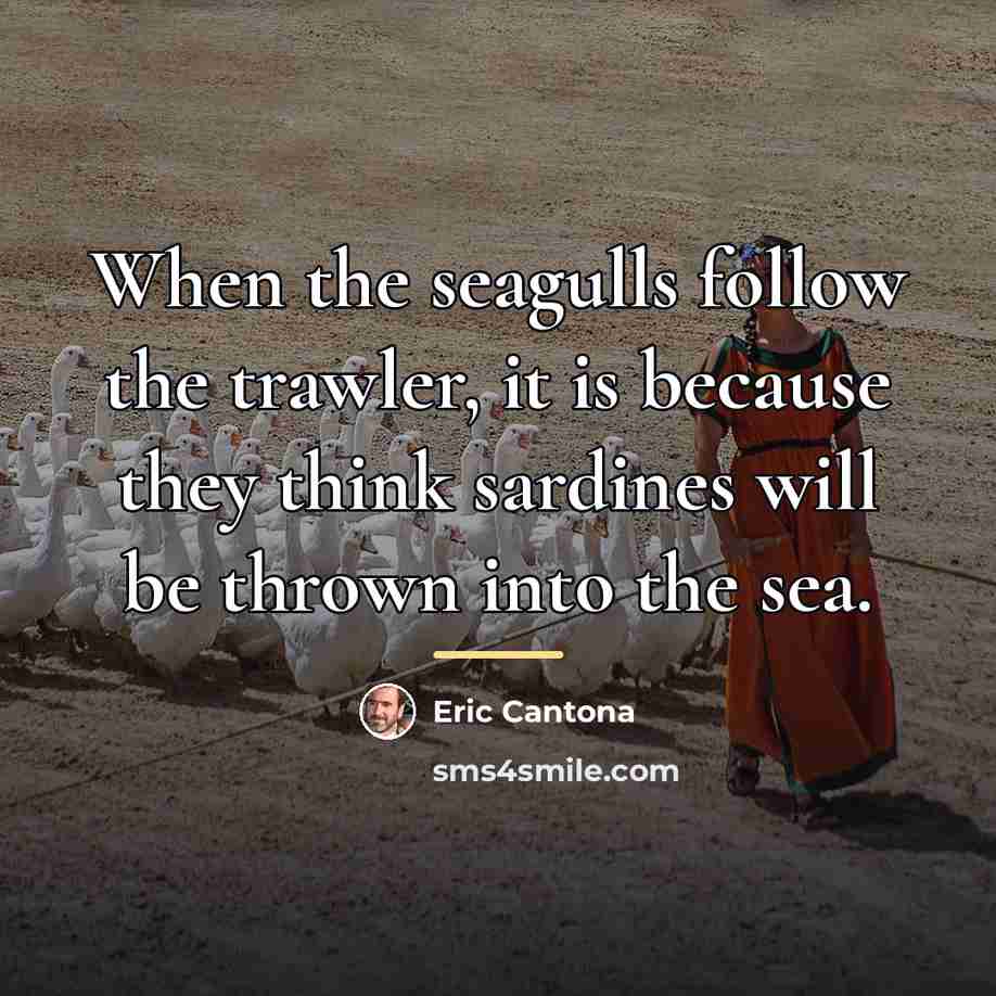 “When the seagulls follow the trawler, it is because they…” quote by Eric Cantona