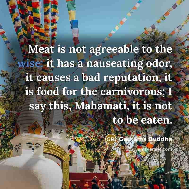 “Meat is not agreeable to the wise: it has a…” quote by Gautama Buddha