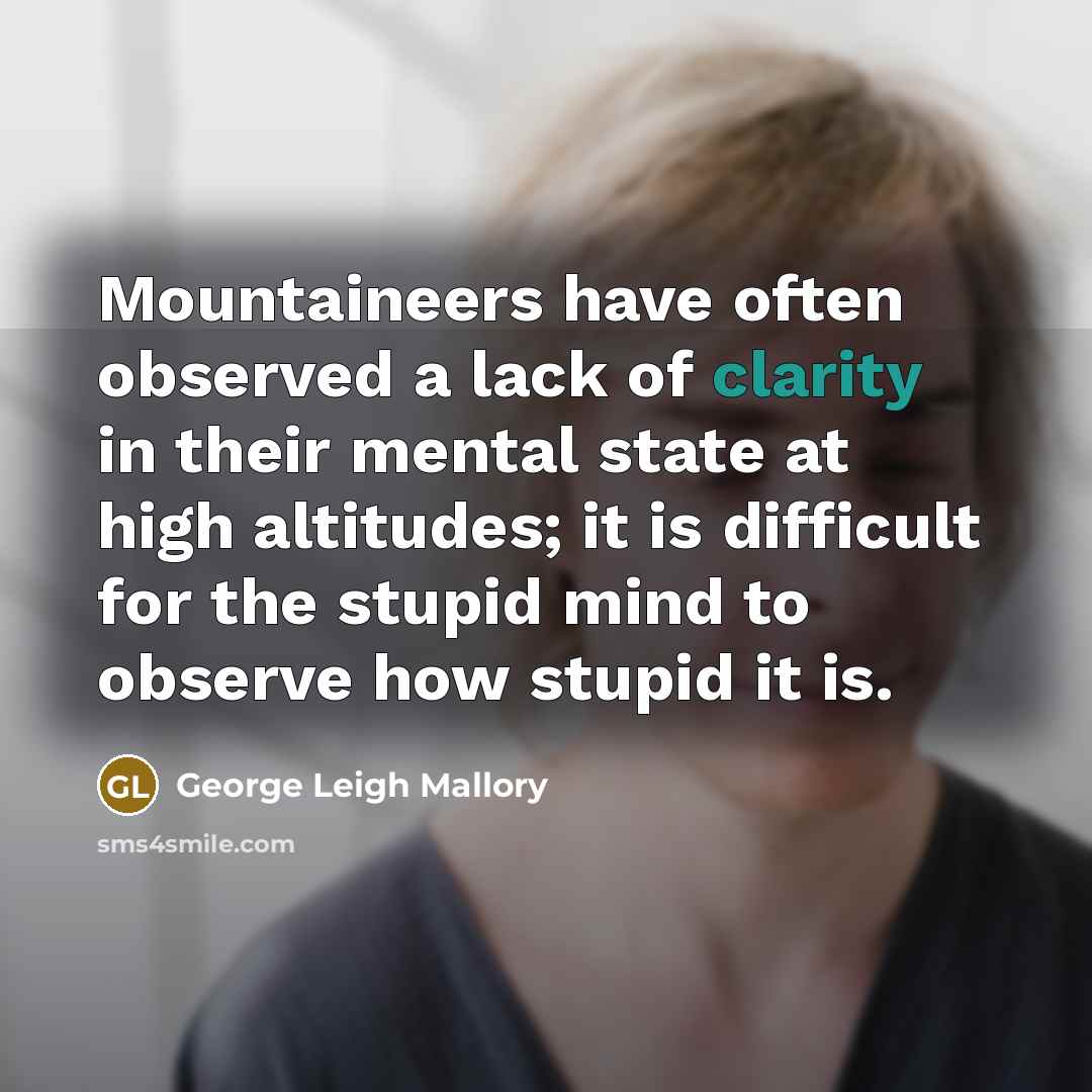 “Mountaineers have often observed a lack of clarity in their mental state at high altitudes; it is difficult for the stupid mind to observe how stupid it is.” quote by George Leigh Mallory