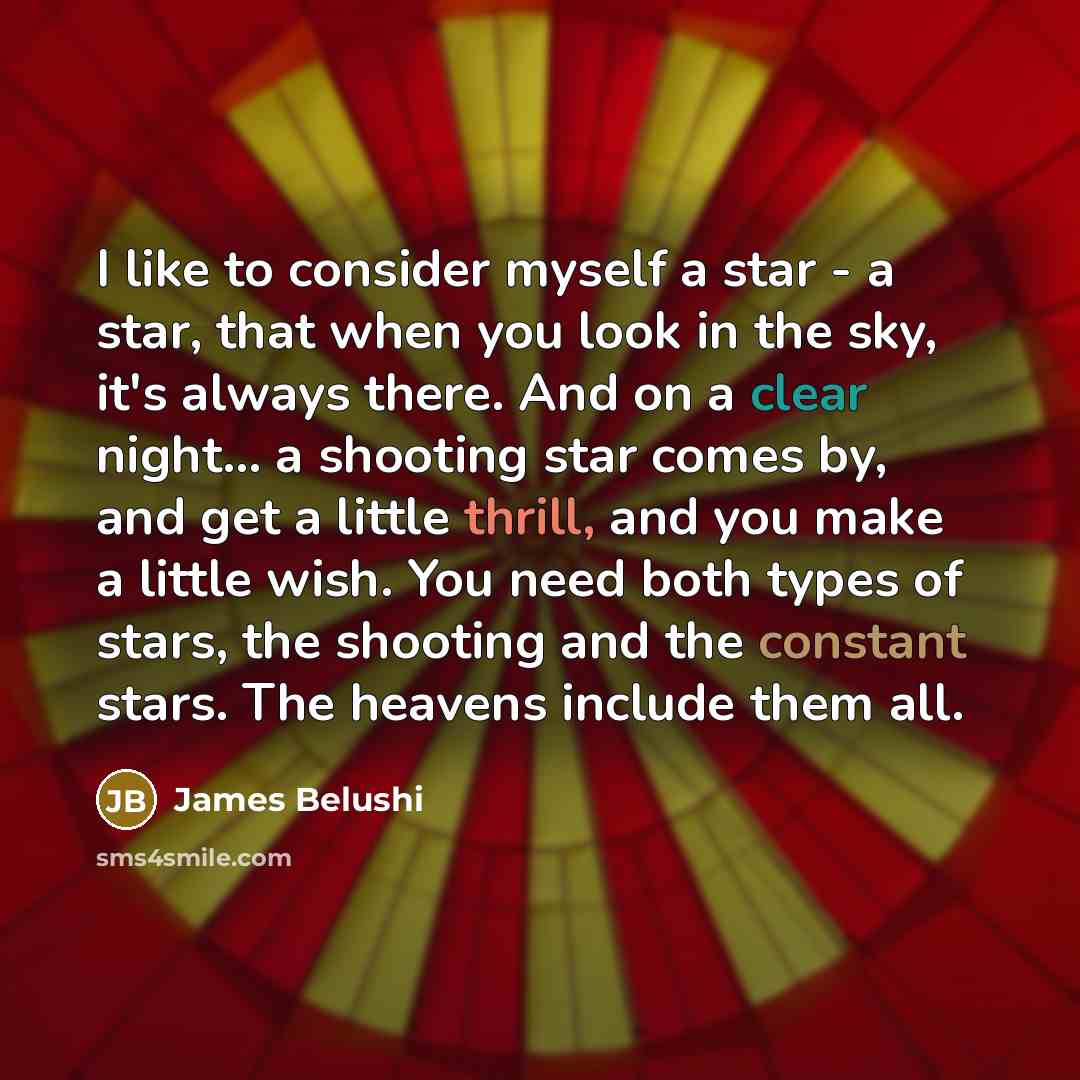 “I like to consider myself a star - a star,…” quote by James Belushi