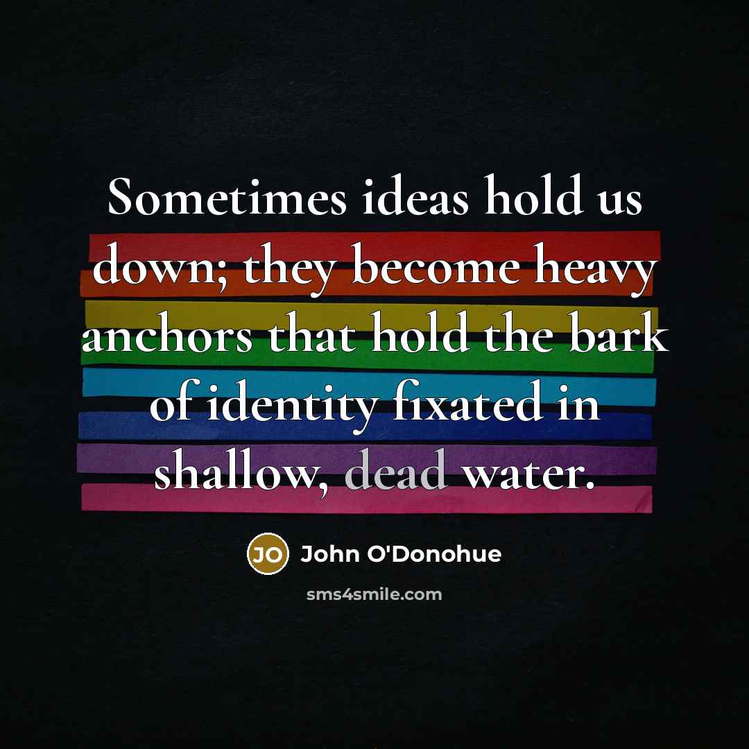 “Sometimes ideas hold us down; they become heavy anchors that…” quote by John O'Donohue