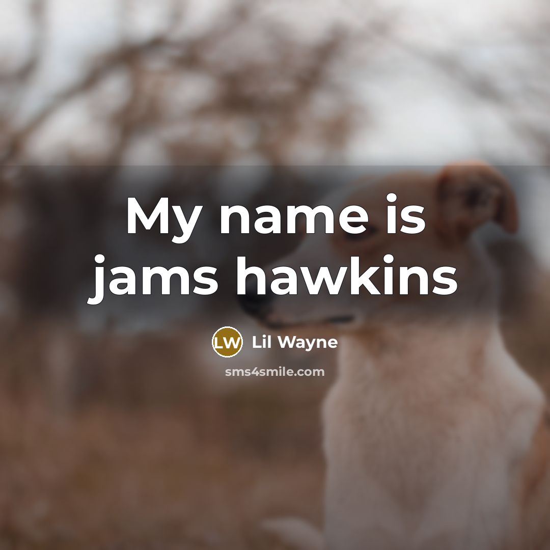 “My name is jams hawkins…” quote by Lil Wayne