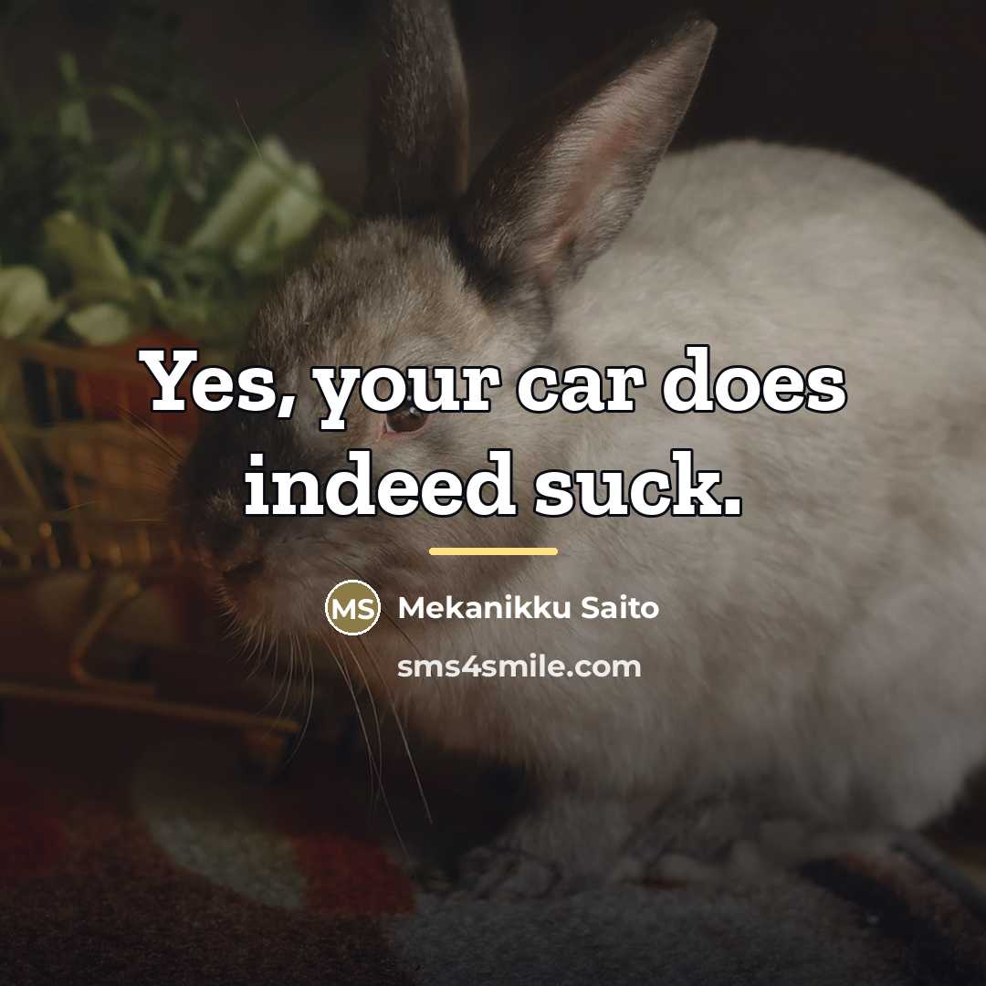 “Yes, your car does indeed suck.…” quote by Mekanikku Saito