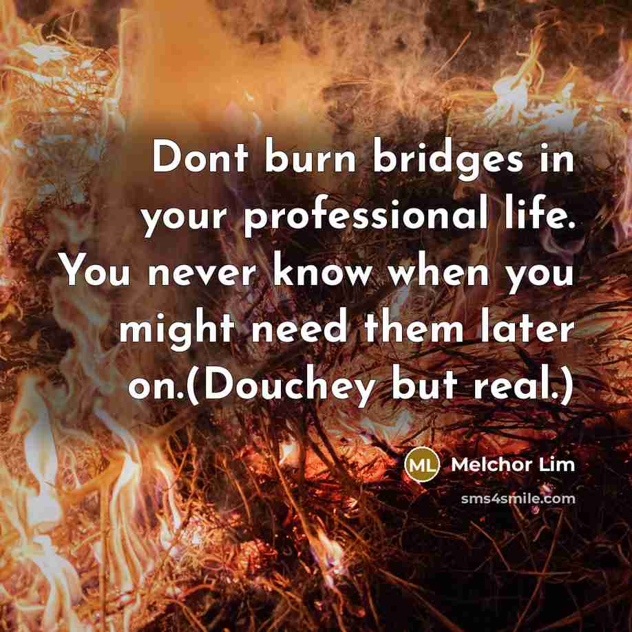 “Dont burn bridges in your professional life. You never know…” quote by Melchor Lim