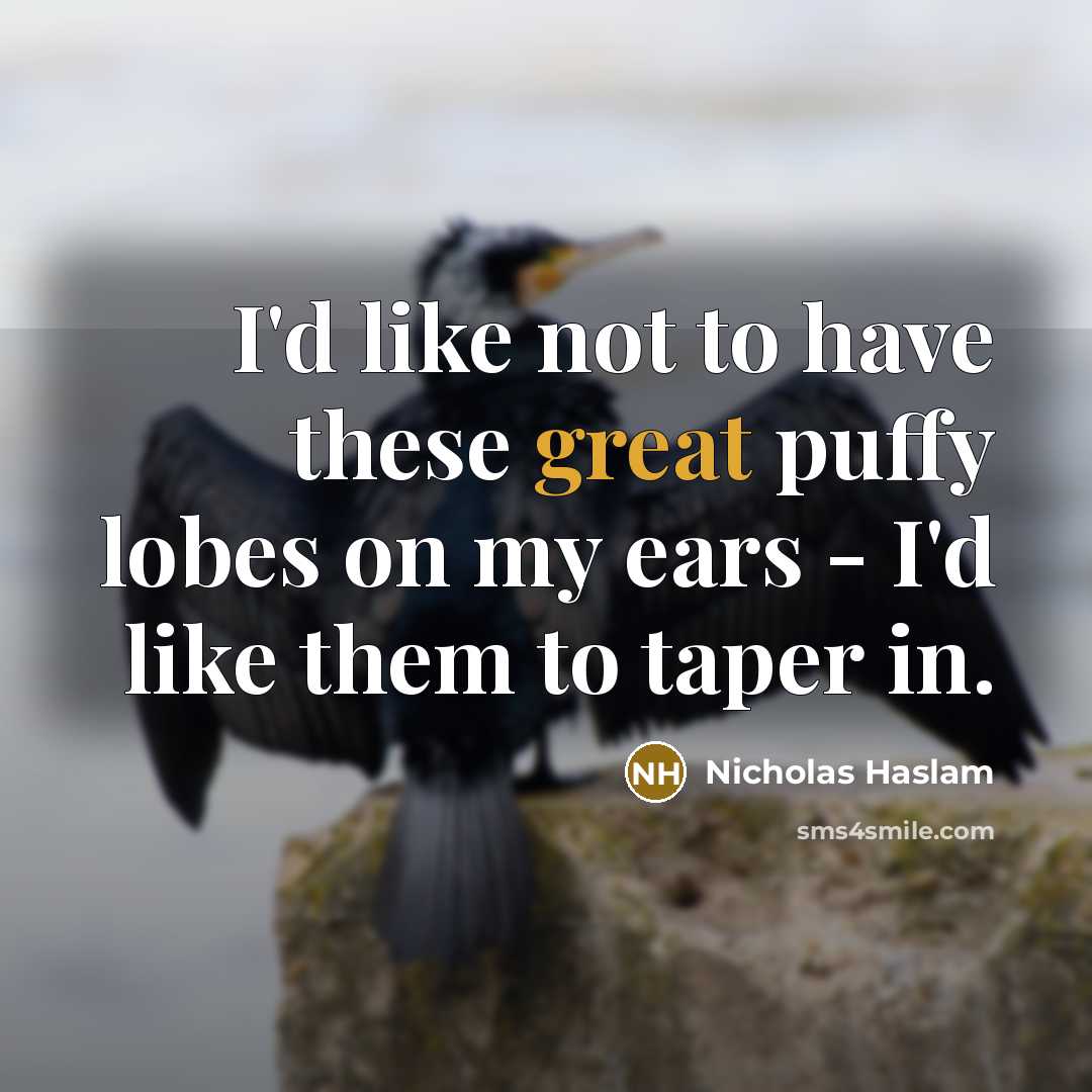 “I'd like not to have these great puffy lobes on…” quote by Nicholas Haslam