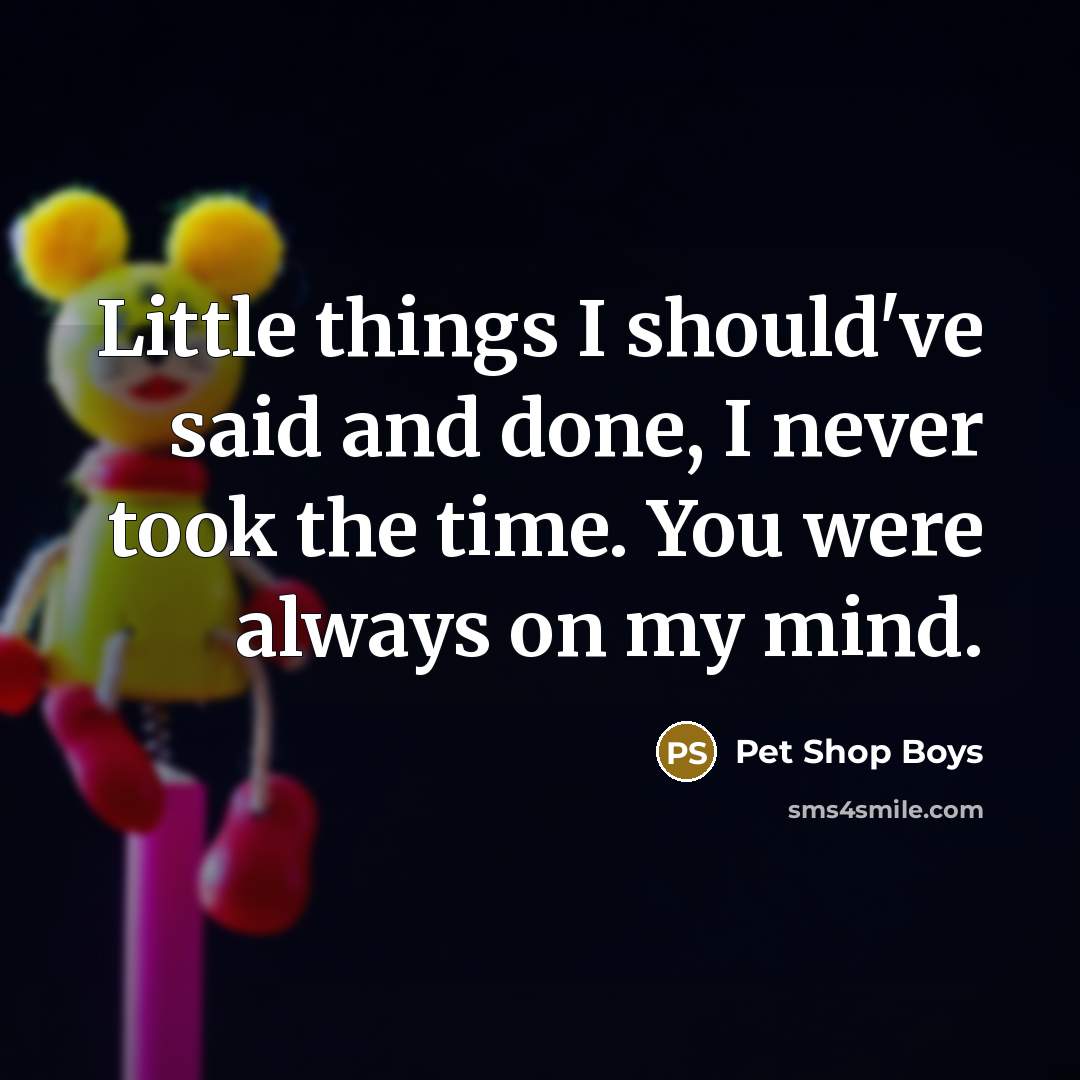 “Little things I should've said and done, I never took…” quote by Pet Shop Boys