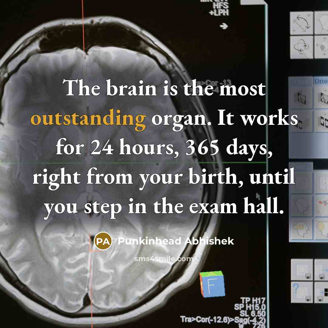 “The brain is the most outstanding organ. It works for 24 hours, 365 days, right from your birth, until you step in the exam hall.” quote by Punkinhead Abhishek