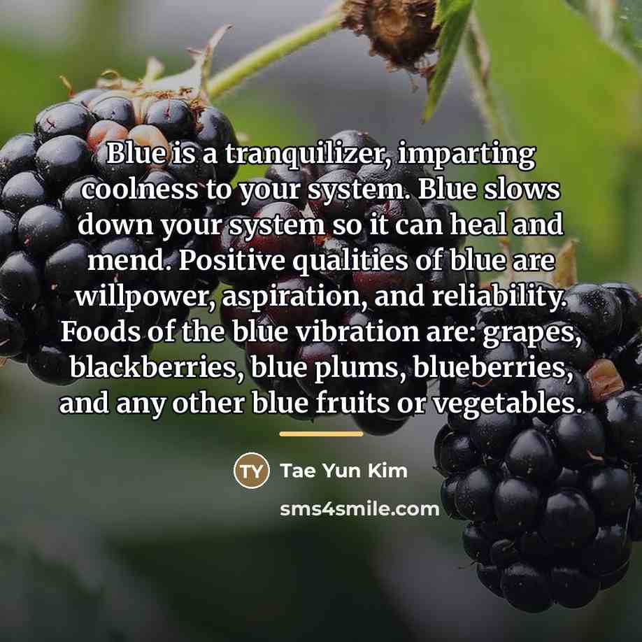“Blue is a tranquilizer, imparting coolness to your system. Blue…” quote by Tae Yun Kim