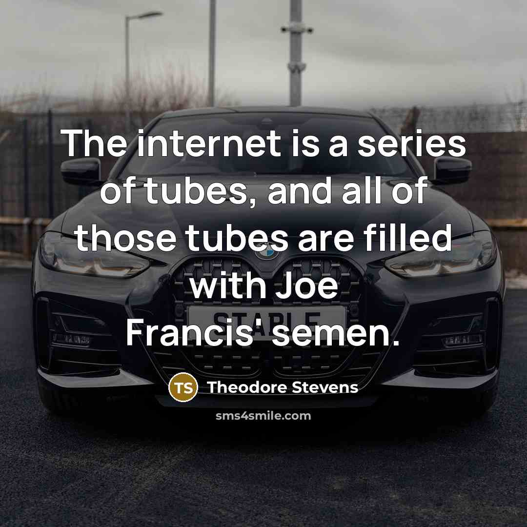 “The internet is a series of tubes, and all of…” quote by Theodore Stevens