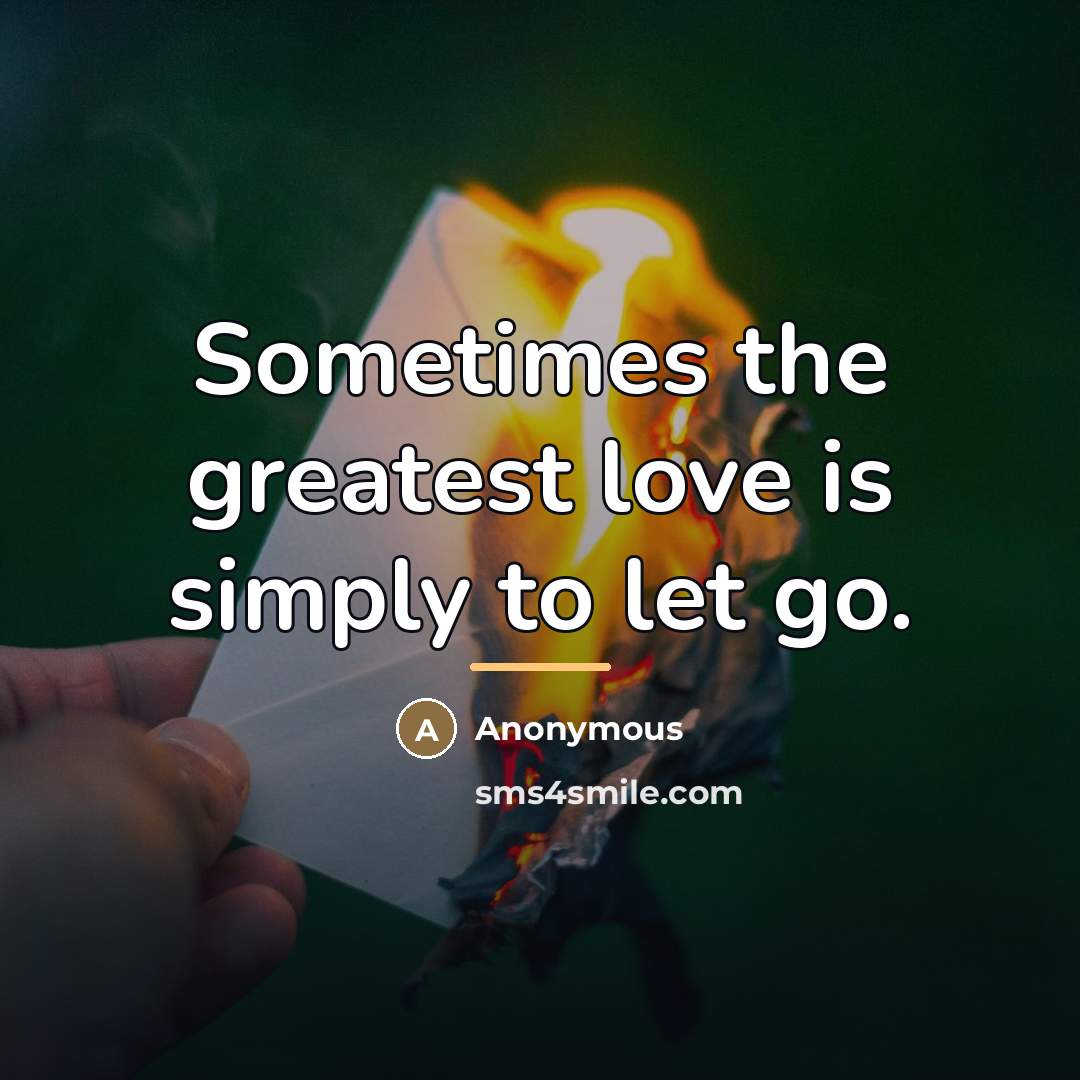 “Sometimes the greatest love is simply to let go.…” quote by Anonymous