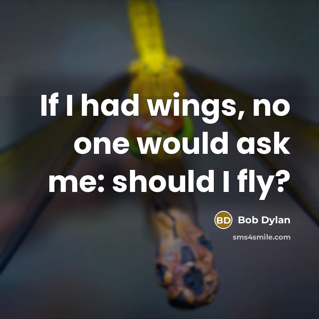 “If I had wings, no one would ask me: should…” quote by Bob Dylan