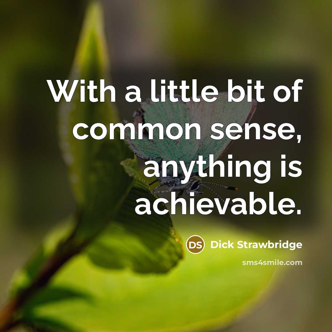 “With a little bit of common sense, anything is achievable.…” quote by Dick Strawbridge