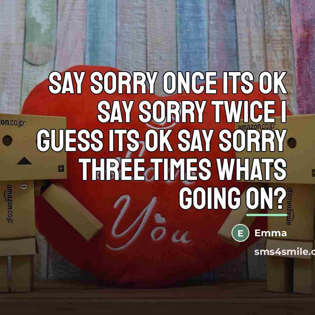 “Say Sorry once its ok Say sorry twice I guess…” quote by Emma