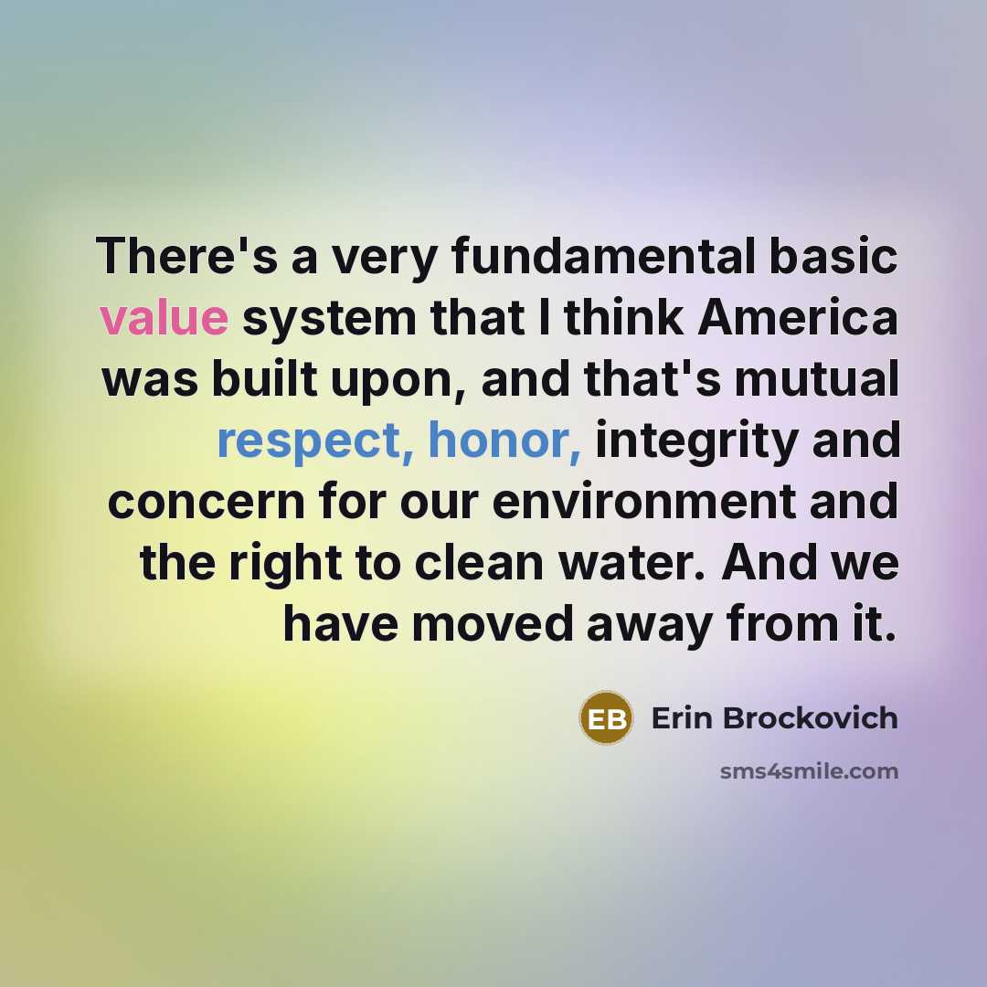 “There's a very fundamental basic value system that I think America was built upon, and that's mutual respect, honor, integrity and concern for our environment and the right to clean water. And we have moved away from it.” quote by Erin Brockovich