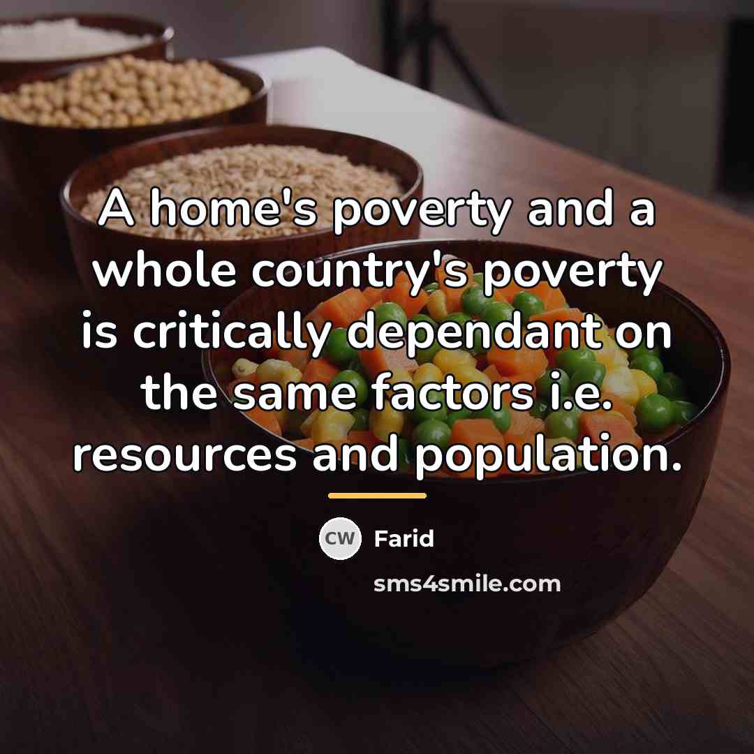 “A home's poverty and a whole country's poverty is critically…” quote by Farid
