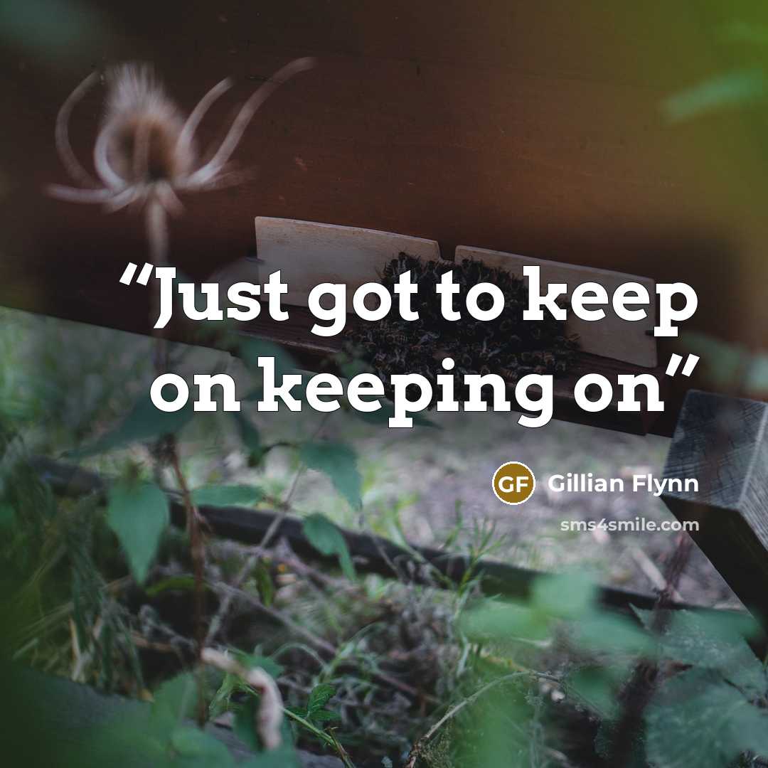 “Just got to keep on keeping on” quote by Gillian Flynn