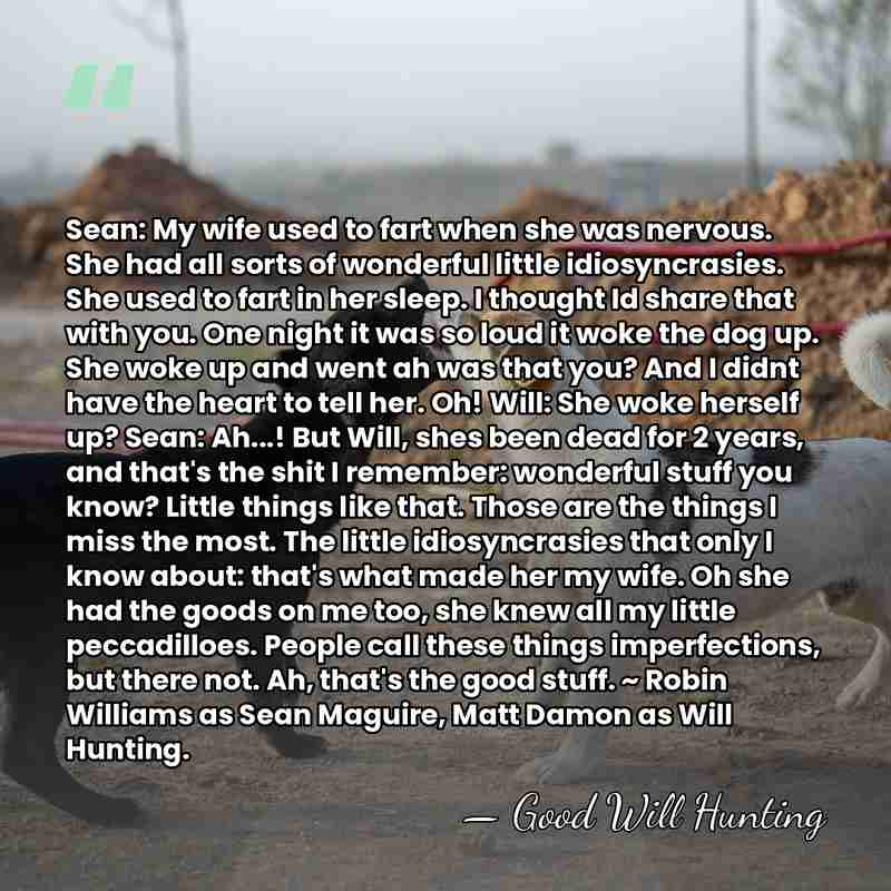 Sean: My wife used to fart when she was nervous. She had&hellip; - Good Will Hunting