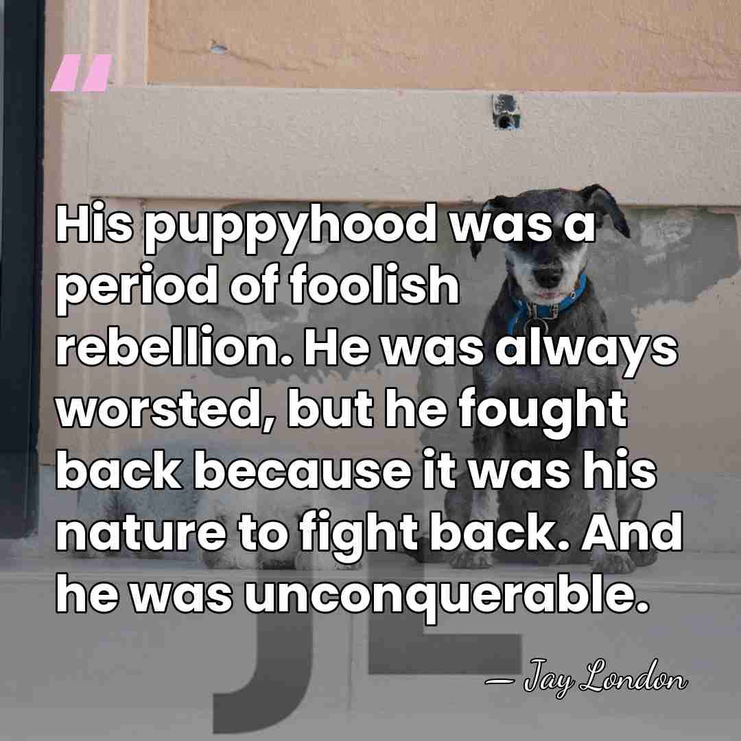 His puppyhood was a period of foolish rebellion. He was always worsted,&hellip; - Jay London