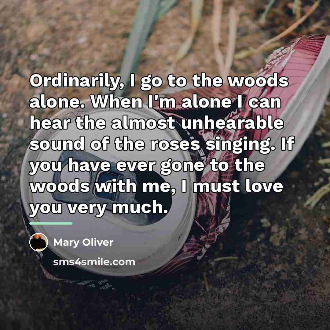 “Ordinarily, I go to the woods alone. When I'm alone…” quote by Mary Oliver