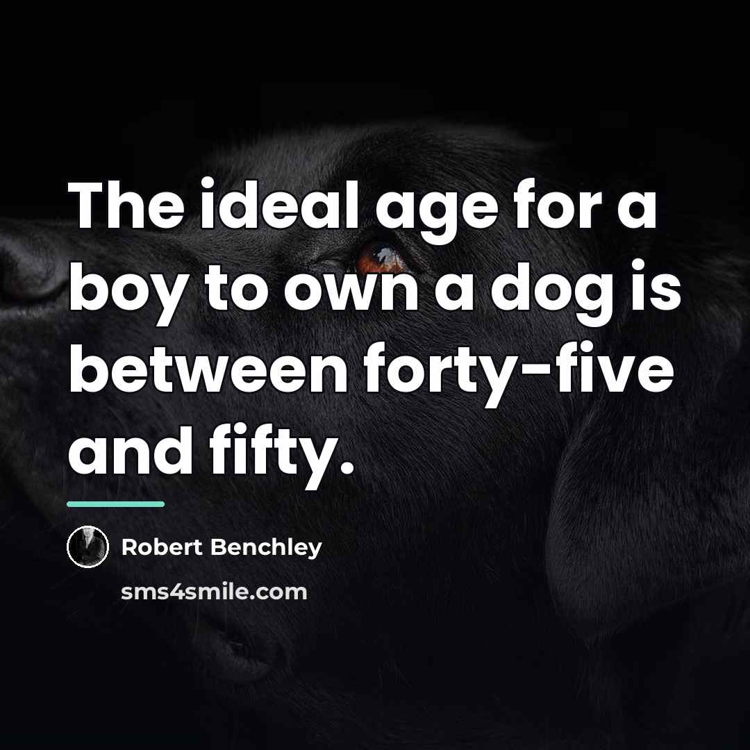 “The ideal age for a boy to own a dog…” quote by Robert Benchley