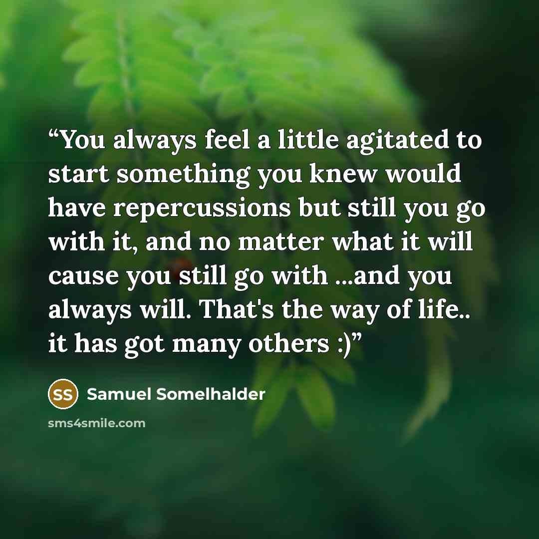 “You always feel a little agitated to start something you knew would have repercussions but still you go with it, and no matter what it will cause you still go with ...and you always will. That's the way of life.. it has got many others :)” quote by Samuel Somelhalder
