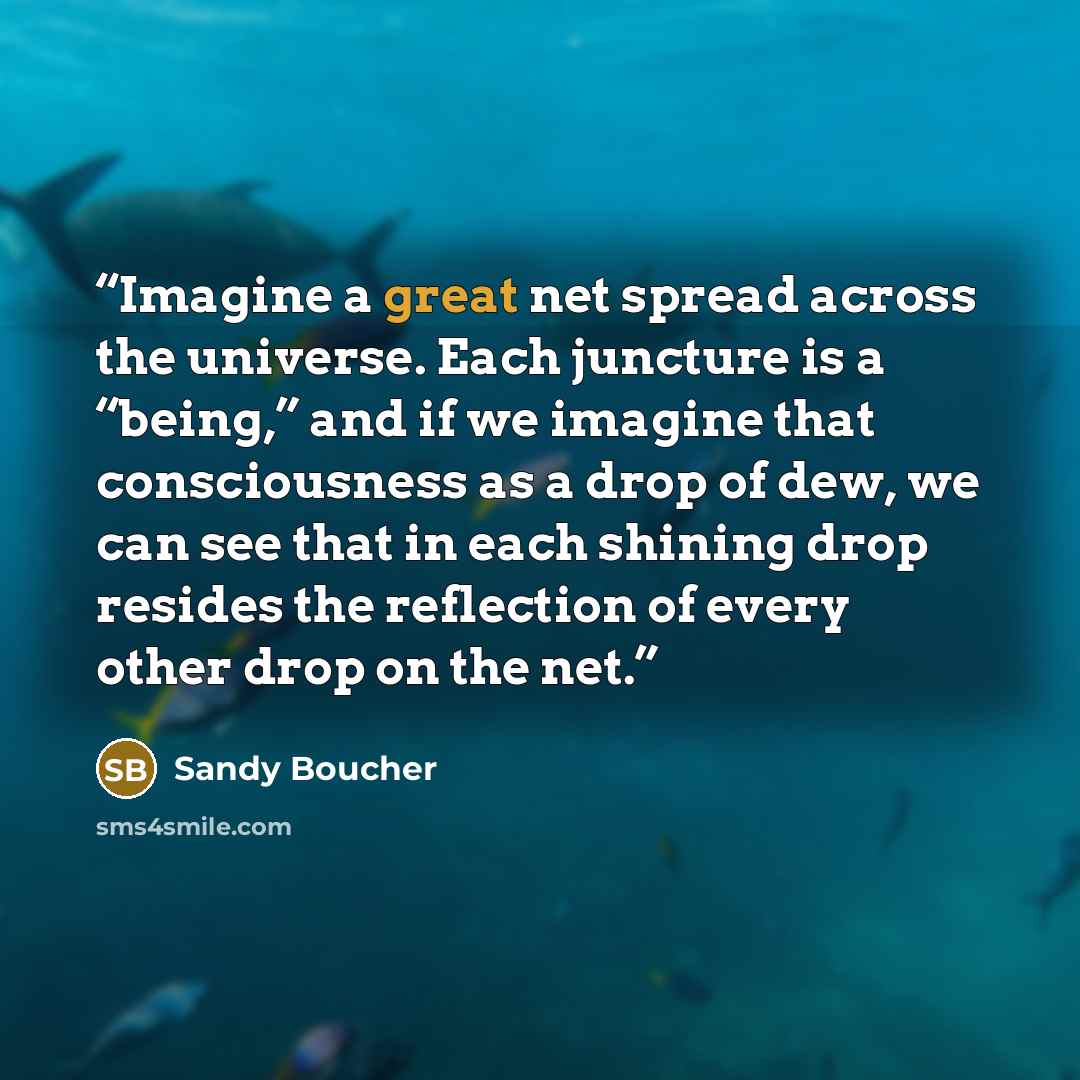 “Imagine a great net spread across the universe. Each juncture is a “being,” and if we imagine that consciousness as a drop of dew, we can see that in each shining drop resides the reflection of every other drop on the net.” quote by Sandy Boucher
