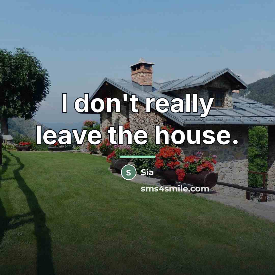 “I don't really leave the house.…” quote by Sia