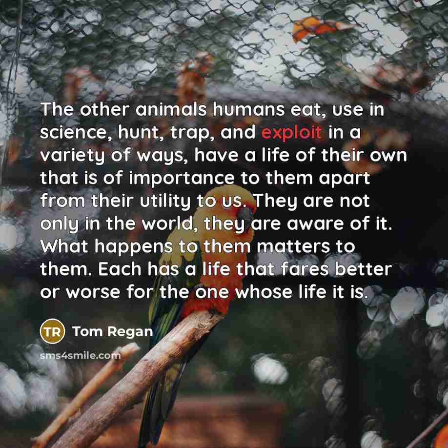 “The other animals humans eat, use in science, hunt, trap,…” quote by Tom Regan