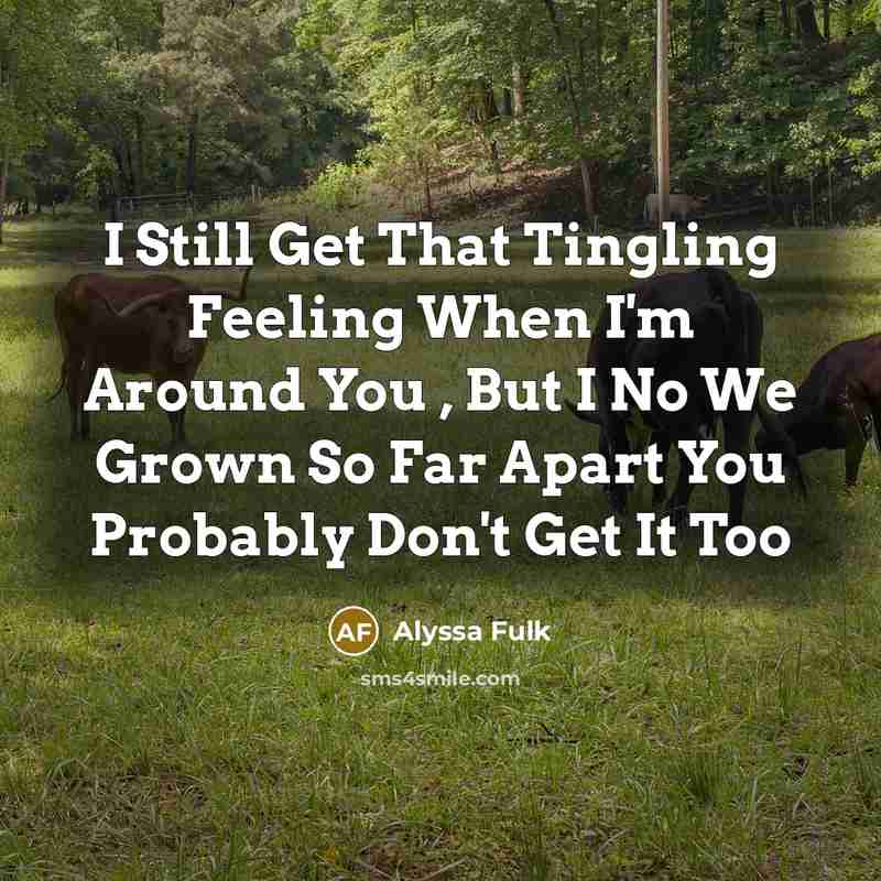 “I Still Get That Tingling Feeling When I'm Around You , But I No We Grown So Far Apart You Probably Don't Get It Too” quote by Alyssa Fulk