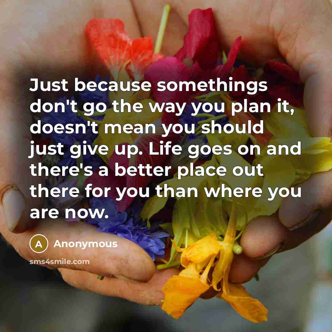 “Just because somethings don't go the way you plan it,…” quote by Anonymous