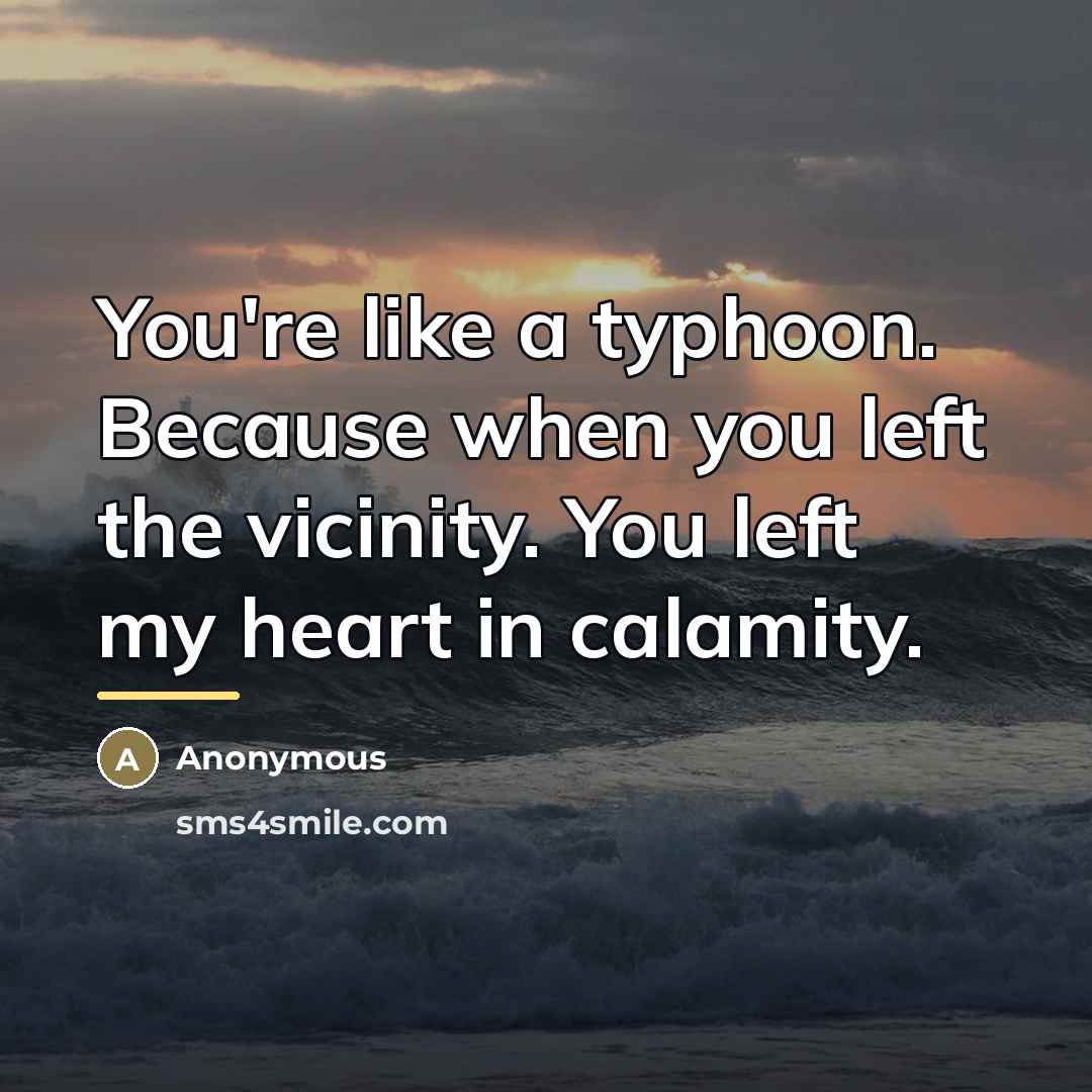 “You're like a typhoon. Because when you left the vicinity.…” quote by Anonymous