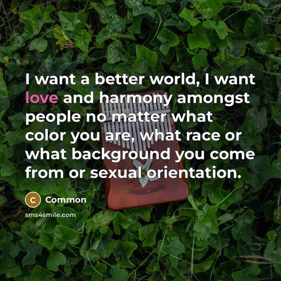 “I want a better world, I want love and harmony…” quote by Common