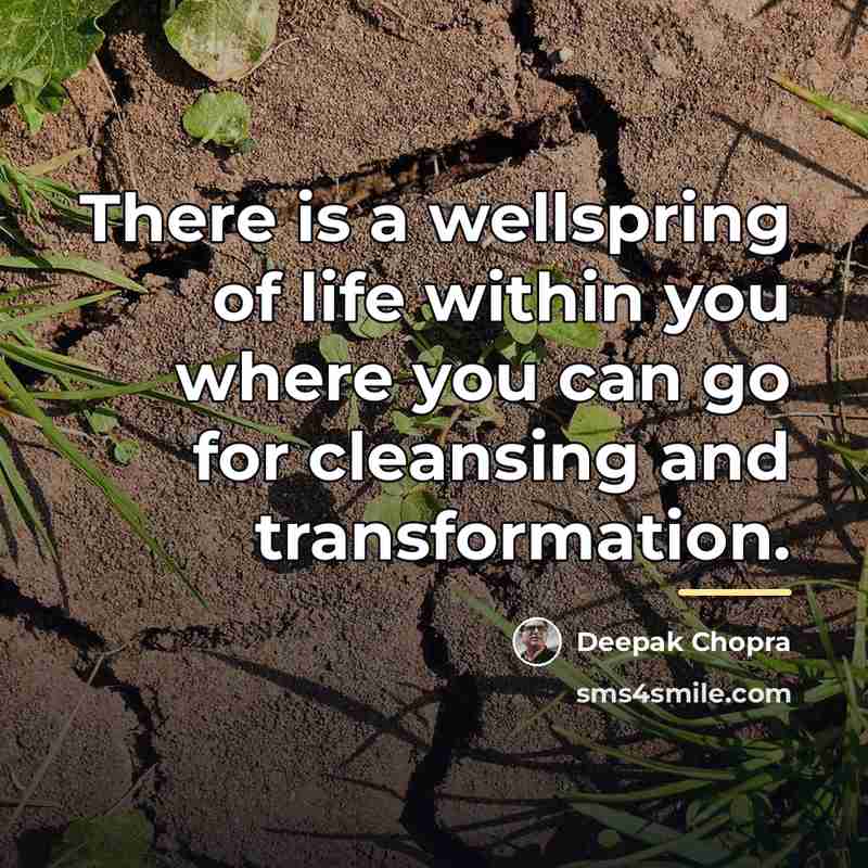 “There is a wellspring of life within you where you…” quote by Deepak Chopra