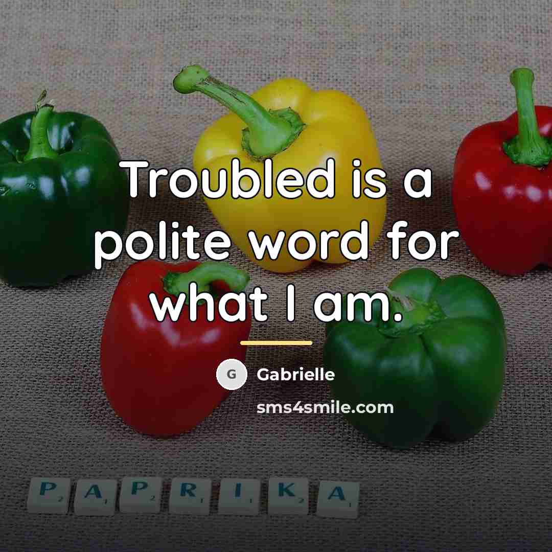 “Troubled is a polite word for what I am.…” quote by Gabrielle