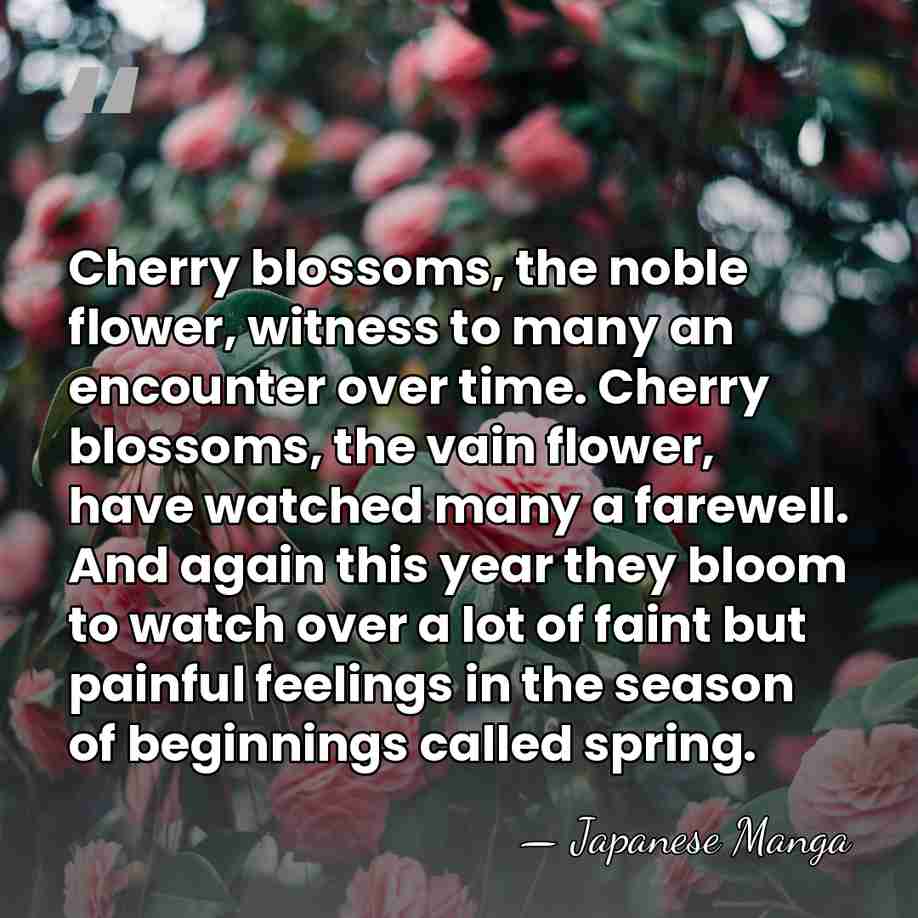 Cherry blossoms, the noble flower, witness to many an encounter over time.&hellip; - Japanese Manga