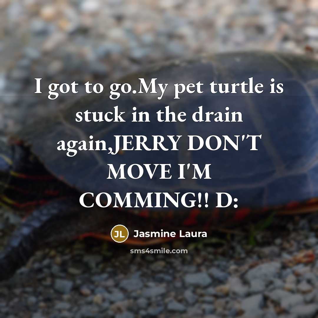 “I got to go.My pet turtle is stuck in the…” quote by Jasmine Laura